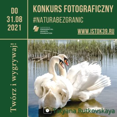 Plakat promujący konkurs