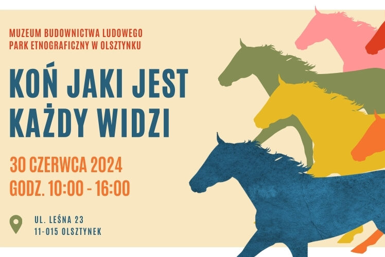 KOŃ JAKI JEST KAŻDY WIDZI