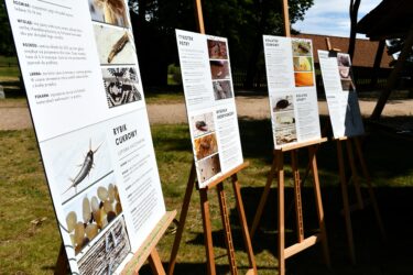 Wydarzenie Tajemnice Ciesiołki