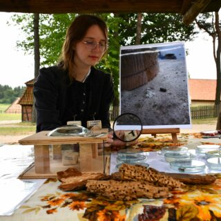Wydarzenie Tajemnice Ciesiołki