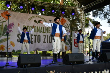 XV Regionalne Święto Ziół – uczestnicy wydarzenia.