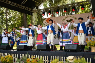 XV Regionalne Święto Ziół – uczestnicy wydarzenia.