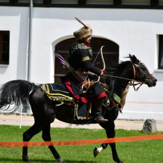 Koń, jaki jest, każdy widzi - atrakcje z wydarzenia