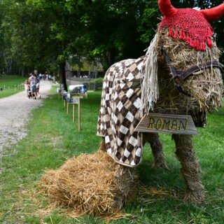 Koń, jaki jest, każdy widzi - atrakcje z wydarzenia