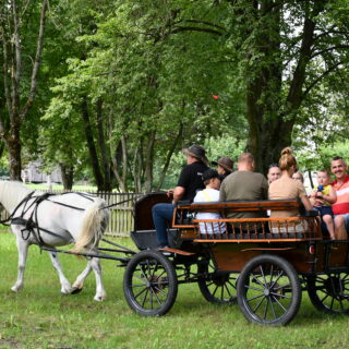 Koń, jaki jest, każdy widzi - atrakcje z wydarzenia
