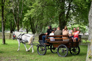 Koń, jaki jest, każdy widzi - atrakcje z wydarzenia