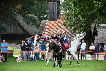Koń, jaki jest, każdy widzi - atrakcje z wydarzenia