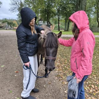Niedziela ze zwierzętami - uczestnicy wydarzenia