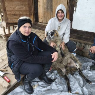 Niedziela ze zwierzętami - uczestnicy wydarzenia