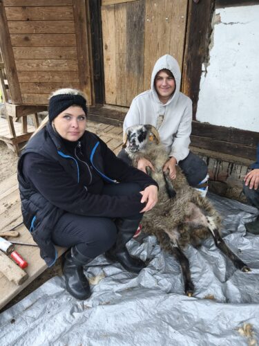 Niedziela ze zwierzętami - uczestnicy wydarzenia