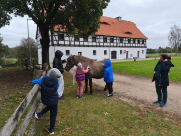 Niedziela ze zwierzętami - uczestnicy wydarzenia