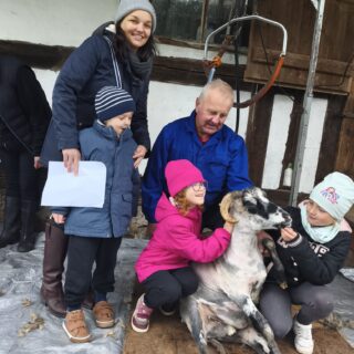 Niedziela ze zwierzętami - uczestnicy wydarzenia