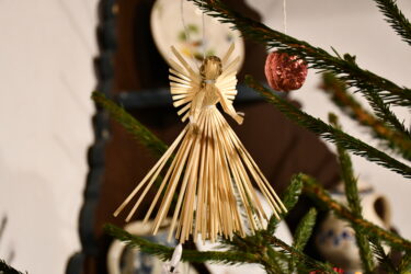 Boże Narodzenie w Prusach Wschodnich - Zielonka