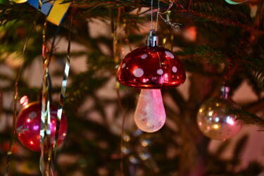 Gwiazdka w PRL - Turznica